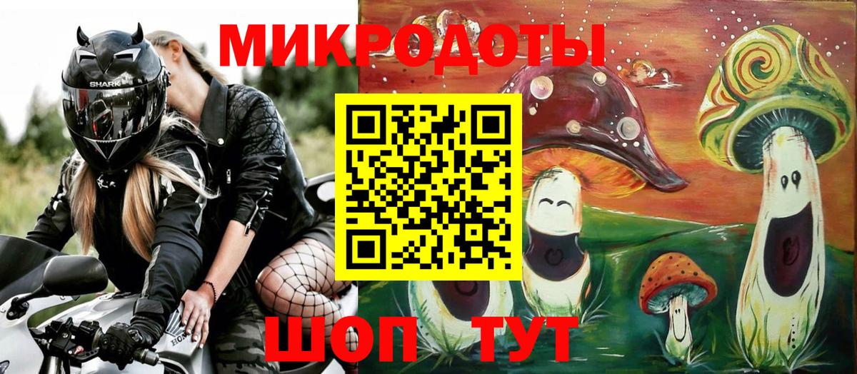 Псилоцибиновые грибы мицелий Хабаровск
