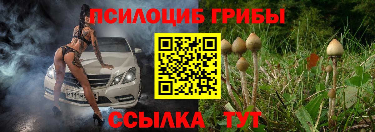 Хабаровск  Псилоцибиновые грибы MAGIC MUSHROOMS  Вход с VPN 